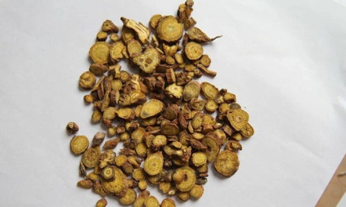 黄疸性肝炎的症状与治疗-权威黄疸性肝炎的症状表现有哪些平台,分享专业黄疸性肝炎症状怎么得的知识_黄疸性肝炎的症状网