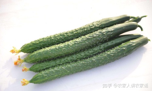 黄疸肝炎会传染人吗-权威黄疸性肝炎的症状表现有哪些平台,分享专业黄疸性肝炎症状怎么得的知识_黄疸性肝炎的症状网