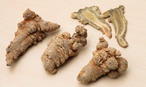 权威黄疸性肝炎的症状表现有哪些平台,分享专业黄疸性肝炎症状怎么得的知识_黄疸性肝炎的症状网
